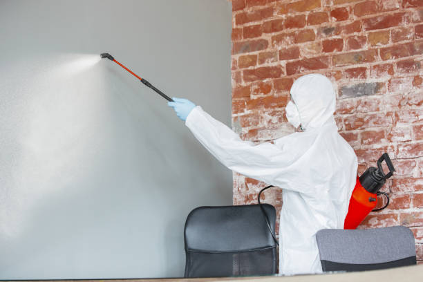 Best Industrial Mold Remediation  in Sea Bright, NJ