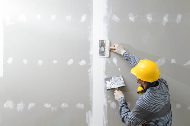 Best Real Estate Mold Inspection  in Sea Bright, NJ