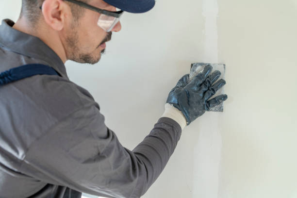 Best Mold Prevention Services  in Sea Bright, NJ