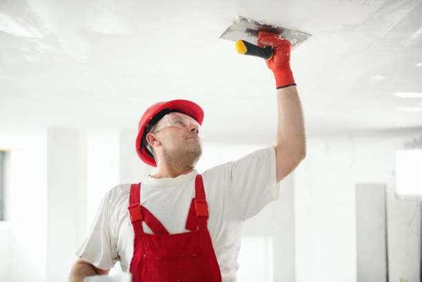  Sea Bright, NJ Mold Removal Pros