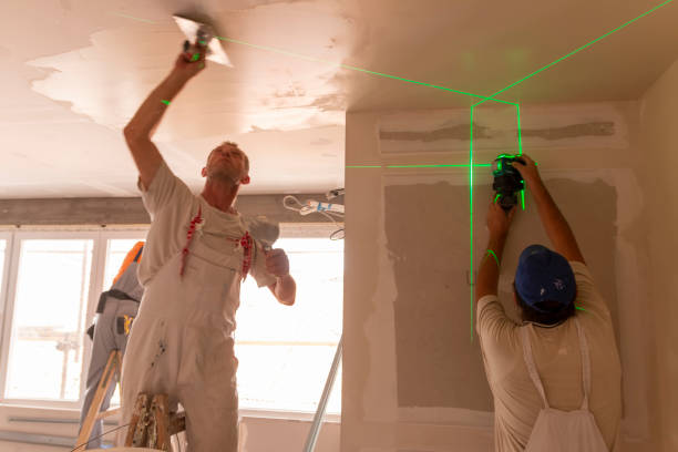 Best Attic Mold Removal  in Sea Bright, NJ