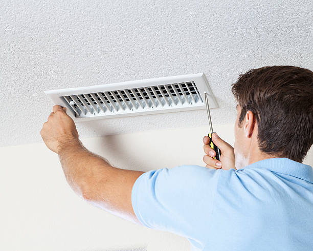 Best Post-Construction Mold Inspection  in Sea Bright, NJ