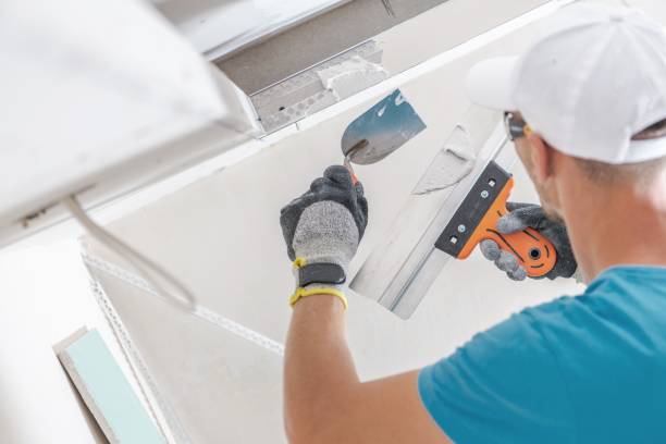 Professional Mold Removal in Sea Bright, NJ